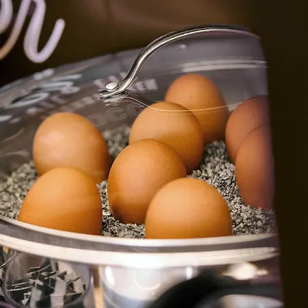 Rostock-hafen 酒店